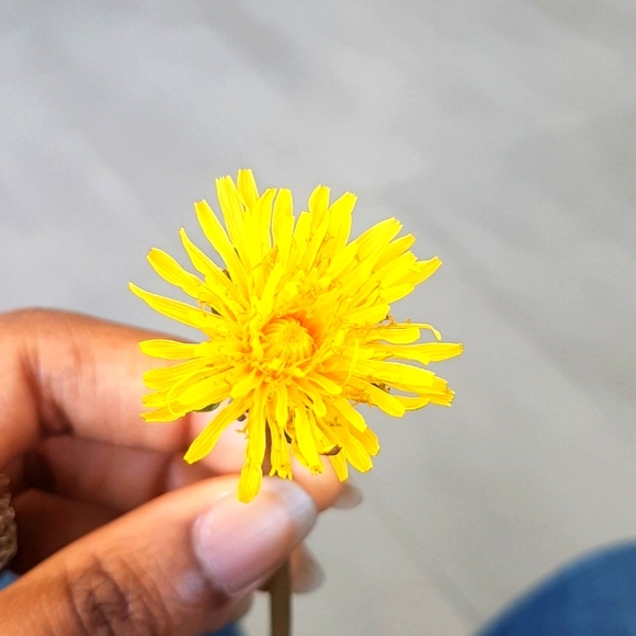 Meet your Posher, Lara - Picture 2 of 2